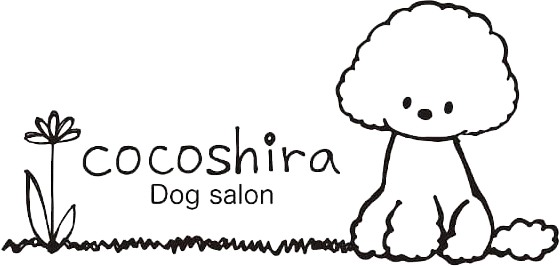 Dogsalon cocoshira 2周年記念